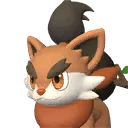 Pupperai